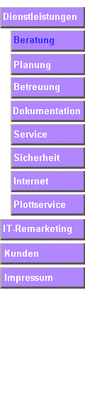It + edv Consulting