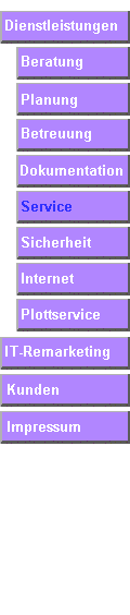 It + edv Service